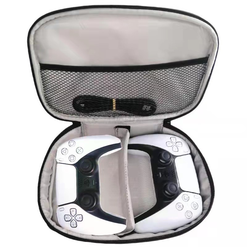 Dual Controller Carrying Case  - Travel Accessories Kit Bag 리뷰 및 가격