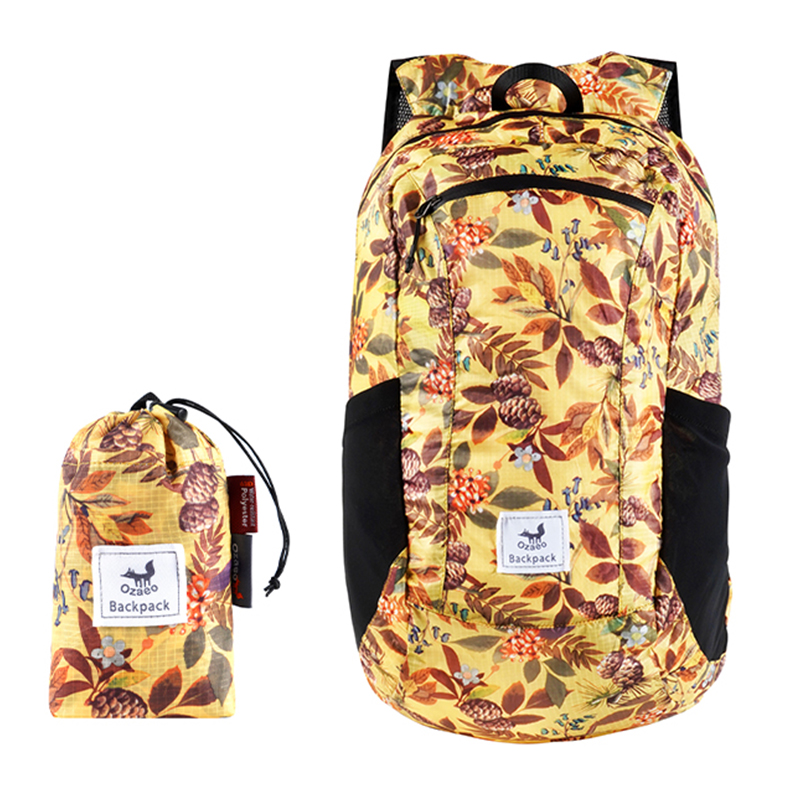 Lightweight and Foldable Daypa - Packable Daypack Foldable 리뷰 및 가격