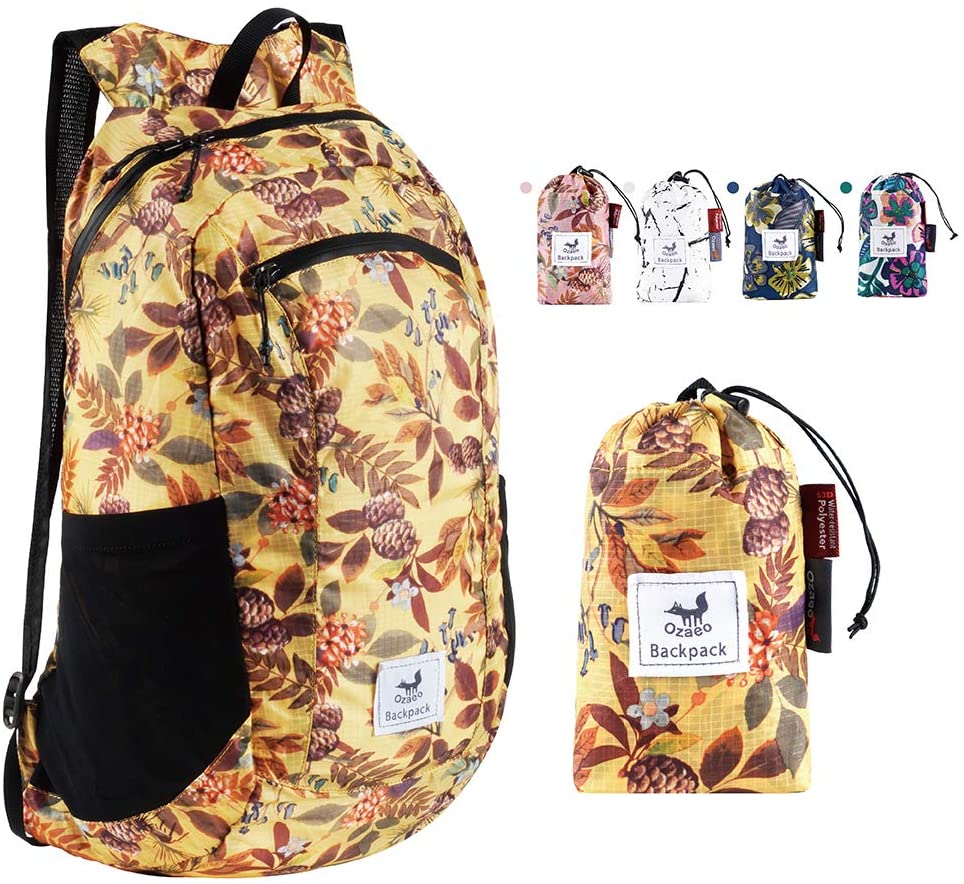 Lightweight and Foldable Daypa - Packable Daypack Foldable 리뷰 및 가격
